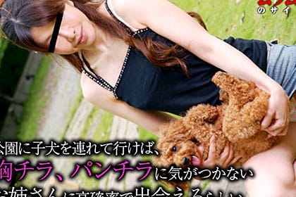 公園に子犬を連れて行けば「きゃーかわいい」っと、犬に夢中になってパンチラに気がつかないお姉さんに高確率で出会えるらしい