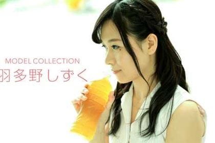 モデルコレクション 羽多野しずく