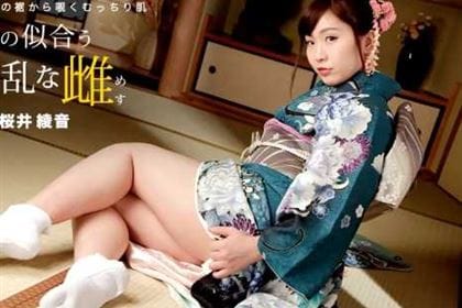 着物の似合う淫乱な雌 桜井綾音