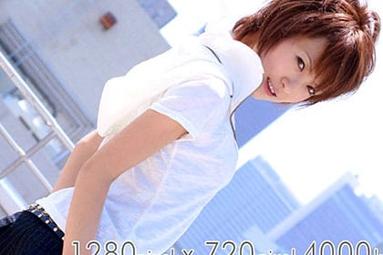 ヒメコレ Princess Collection vol.8