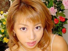 泉星香